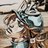 DM_SilverHand