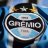 GremioNoticia20