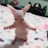 LoFreit10435385
