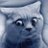 Mr_Gato_pt