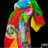 Sampaio280864