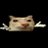 Vini_Junior16