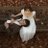 Yane_Faria
