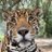 christyan_10318