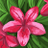 dos_renata65718