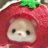 jaeminoia_