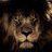 mark_marcius