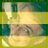 pliniogoncalves