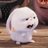 snowball_ys