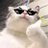 spacial_caat