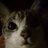 tchout_