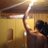 wilso_muller